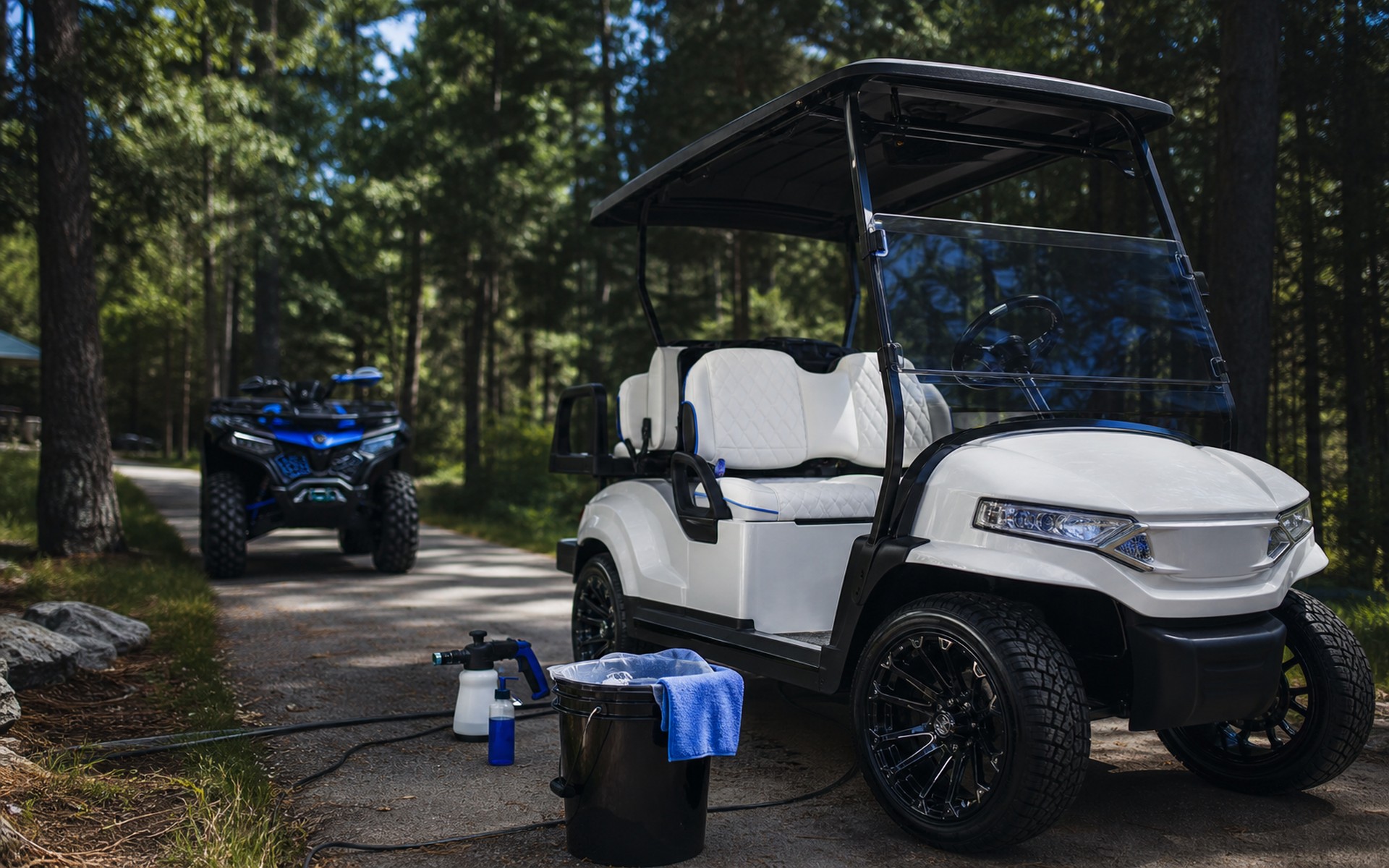 Golf cart detailing service preview